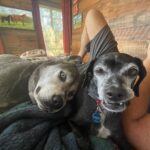 Sarah Silverman Instagram - My 3 fave things