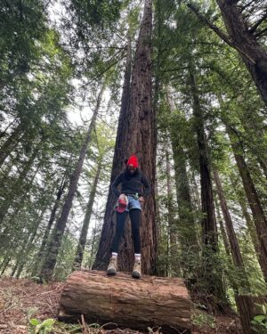Sarah Silverman Instagram - hot couple alert -also I love nature -gimme some redwood trees and a creek and my heart is filled
Seriously, though -thank u, trees