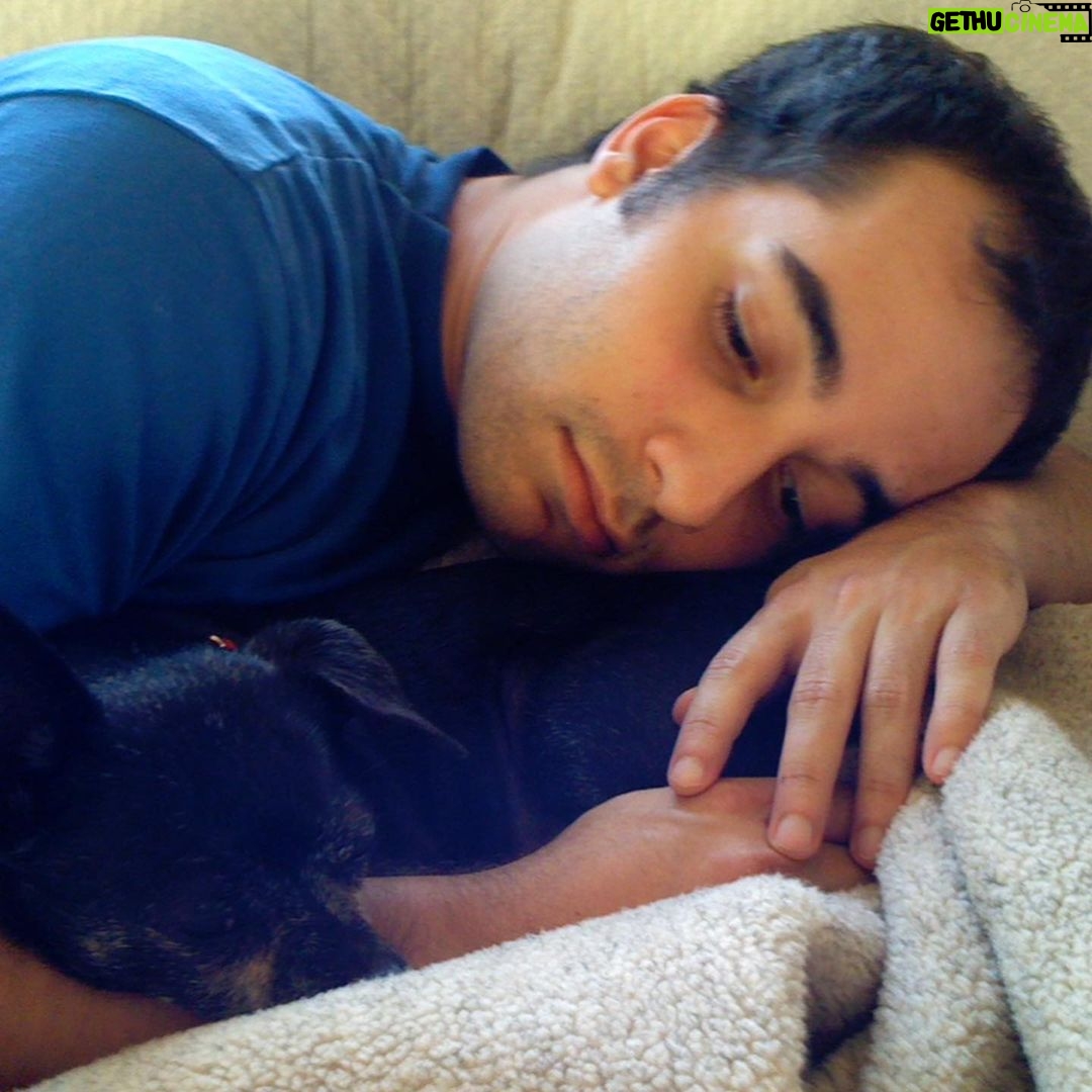 Sarah Silverman Instagram - Canโt believe itโs been 8 years. Miss you, Harris. ๐๐