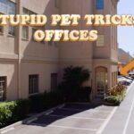 Sarah Silverman Instagram - #StupidPetTricks Tune in MONDAYS 9pm *w/ PREMIERE airing THIS SUNDAY 5pmET after puppy bowl on TBS