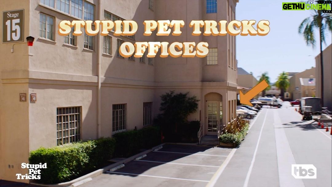 Sarah Silverman Instagram - #StupidPetTricks Tune in MONDAYS 9pm *w/ PREMIERE airing THIS SUNDAY 5pmET after puppy bowl on TBS