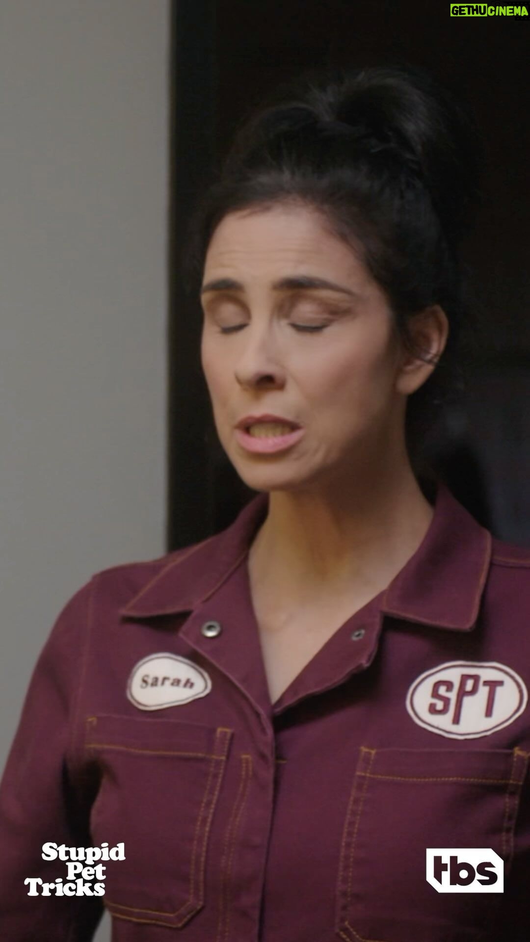 Sarah Silverman Instagram - We don’t need animals in a Howie Mandel sketch! Tune into #StupidPetTricks tonight on TBS, Kid! ♥️🐾🐾