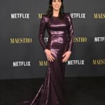 Sarah Silverman Instagram - Special night at the Maestro premiere 📸from @gettyimages