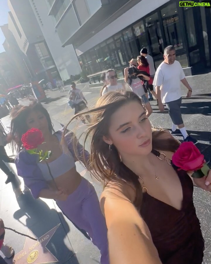 Savannah Clarke Instagram - T h I S _______________________________ Your heart knows So run in that direction __________________________________ #PalmTrees #BrightColours #GirlFriendsBeLike #Hollywood #HollywoodWalkOfFame #Stars #Eclipse #RoofTopView #eclipse2024π #Sunshine #CaliVibes #Roses #MirrorSelfies #BalconyViews #Sunshine #CityOfAngels ___________________________________