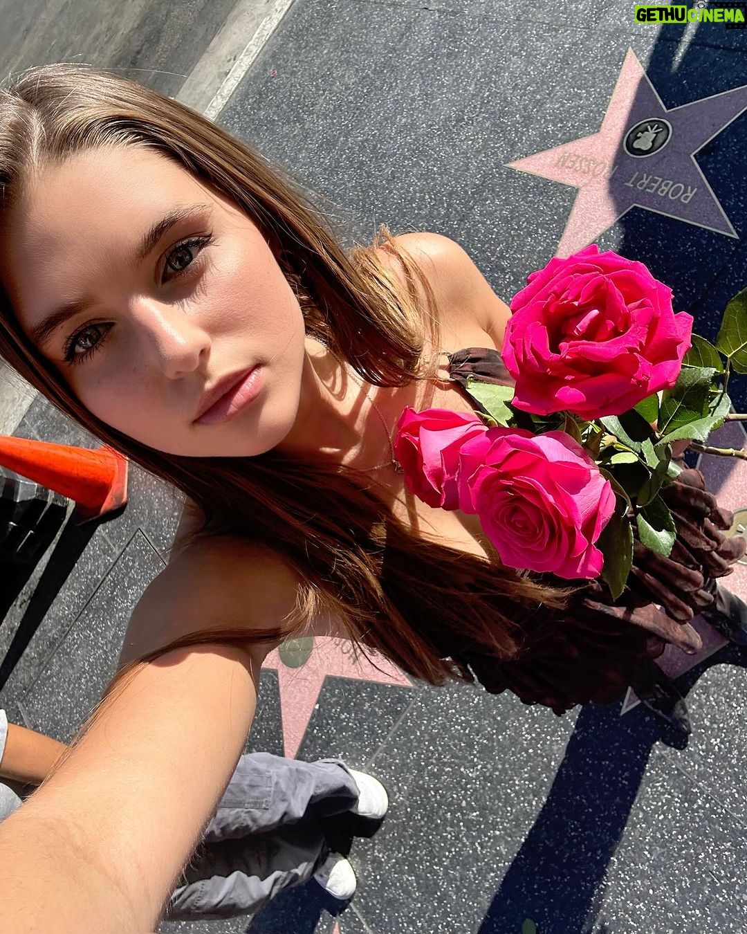 Savannah Clarke Instagram - T h I S _______________________________ Your heart knows So run in that direction __________________________________ #PalmTrees #BrightColours #GirlFriendsBeLike #Hollywood #HollywoodWalkOfFame #Stars #Eclipse #RoofTopView #eclipse2024π #Sunshine #CaliVibes #Roses #MirrorSelfies #BalconyViews #Sunshine #CityOfAngels ___________________________________
