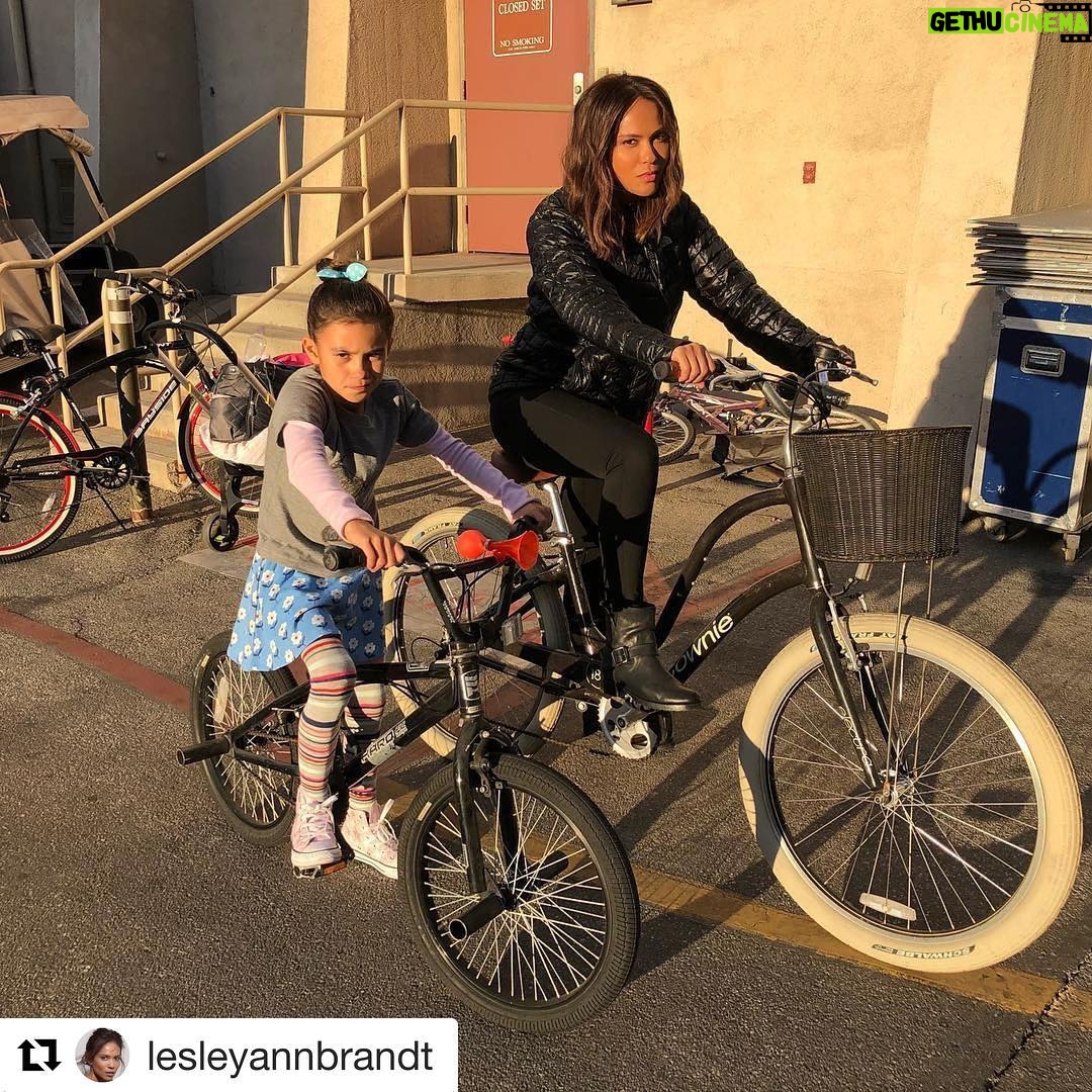 Scarlett Estevez Instagram - 😎Don’t let the bow fool you. #Repost @lesleyannbrandt (@get_repost) ・・・ You can’t sit with us. #maze #trixie @luciferonfox
