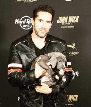 Scott Adkins Instagram - Happy #nationalpuppyday with @hardrockhotels @johnwickmovie