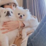 Seo Ji-hye Instagram - 오늘의 털 목도리는요? 아리앤미니😝😝 아푸지말자❤️