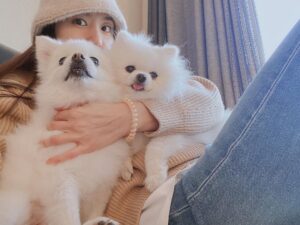 Seo Ji-hye Instagram - 오늘의 털 목도리는요?

아리앤미니😝😝

아푸지말자❤️