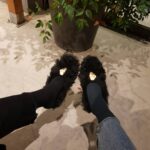 Seo Ji-hye Instagram - 발이 시린 우린 양말 잔뜩 샀다🧦 #득템자랑