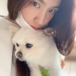 Seo Ji-hye Instagram - Ari🐶