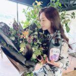 Seo Ji-hye Instagram - #광고 다우니의 새로운 섬유유연제는 은은하고 자연스러운 생화 향기가 느껴져서 너무 좋아요 프리지아앤페어, 스프링가든러브, 와일드라벤더, 클린솝, 미스티크 5개의 향 중에  저의 최애향은 미스티크! 제가 좋아하는 머스크향과 은은한 꽃향기가 더해져 신비로우면서도 고급스러운 느낌👍🏻 오늘도 다우니하세요❤️ #다우니 #다우니생화향기컬렉션 #내품안에다우니한다발 #다우니섬유유연제 #섬유유연제추천