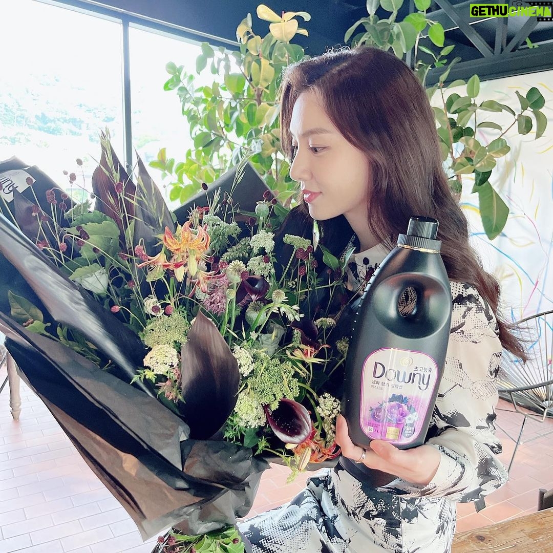 Seo Ji-hye Instagram - #광고 다우니의 새로운 섬유유연제는 은은하고 자연스러운 생화 향기가 느껴져서 너무 좋아요 프리지아앤페어, 스프링가든러브, 와일드라벤더, 클린솝, 미스티크 5개의 향 중에 저의 최애향은 미스티크! 제가 좋아하는 머스크향과 은은한 꽃향기가 더해져 신비로우면서도 고급스러운 느낌👍🏻 오늘도 다우니하세요❤️ #다우니 #다우니생화향기컬렉션 #내품안에다우니한다발 #다우니섬유유연제 #섬유유연제추천