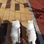 Seo Ji-hye Instagram - 바라보기 기다림