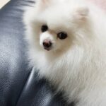 Seo Ji-hye Instagram - 오늘 너땜시 집순이🙄
