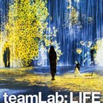 Seo Ji-hye Instagram - 기대대는 전시회❤️ 팀랩 라이프 9월18일날 오픈 손잡구 같이 가요👭👫 #팀랩#teamlab