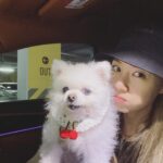 Seo Ji-hye Instagram - 미니🐶와 첫 스티커사진❤️