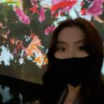 Seo Ji-hye Instagram - 환상 그 자체👍🏻 봐도봐도 눈을 뗄수없는곳 #팀랩전시회#팀랩라이프