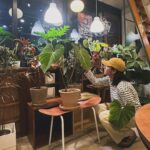 Seol In-a Instagram - 누나랑 집에 가자 @plantcodefarm