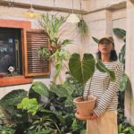 Seol In-a Instagram - 누나랑 집에 가자 @plantcodefarm