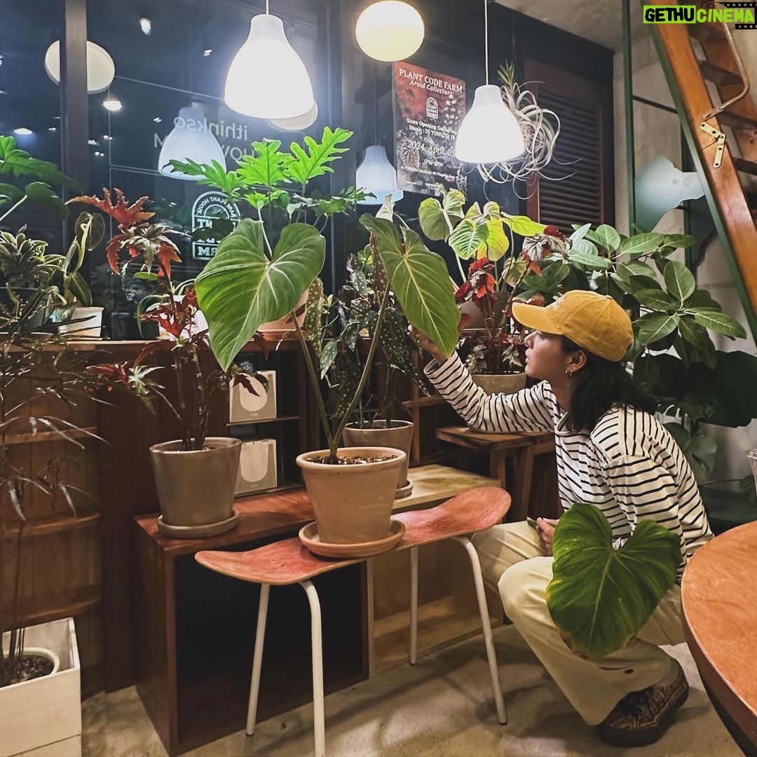 Seol In-a Instagram - 누나랑 집에 가자 @plantcodefarm