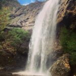Shannen Doherty Instagram - New Year Day walk.