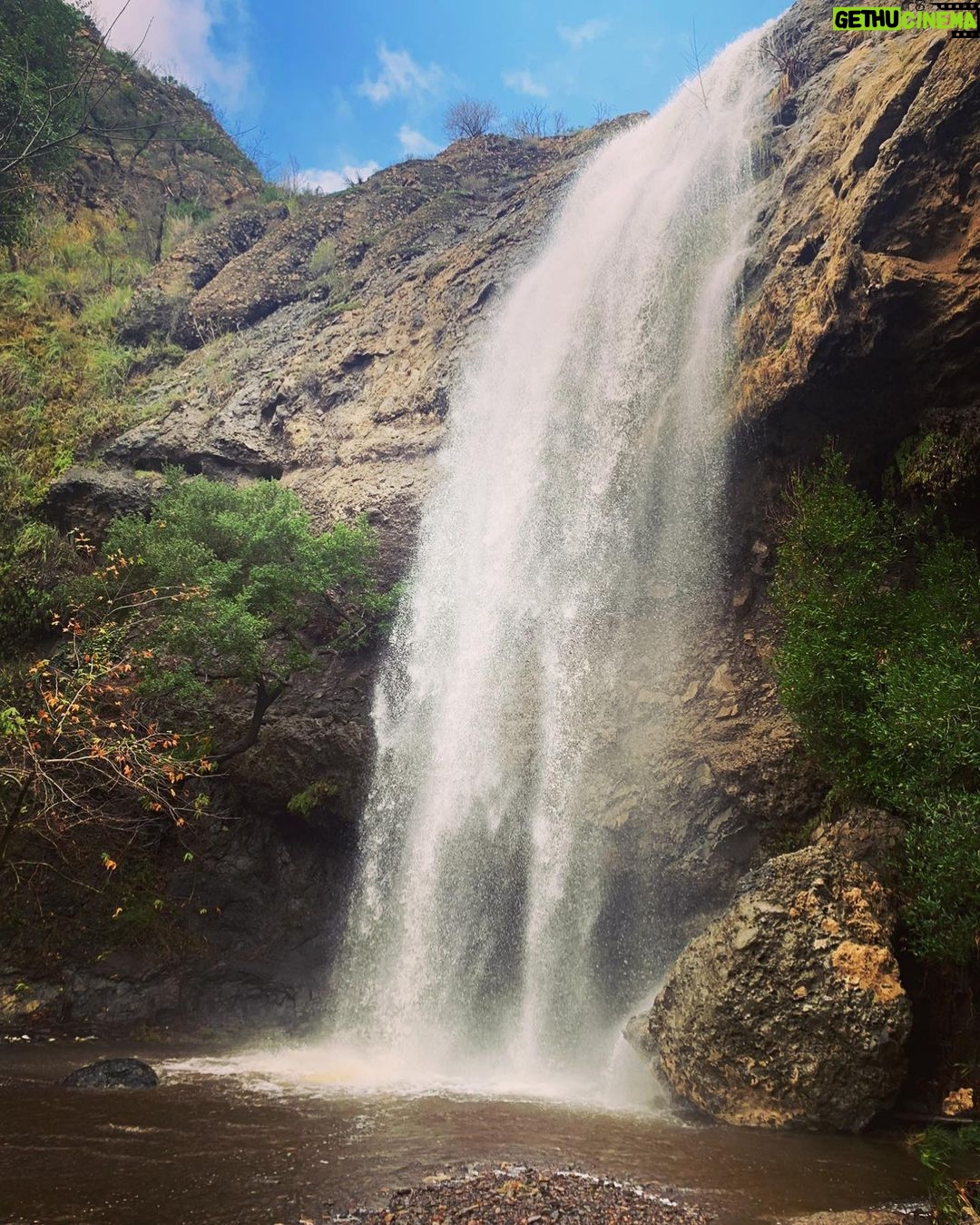 Shannen Doherty Instagram - New Year Day walk.