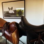 Shannen Doherty Instagram - Pulled out the saddles today. Time to get back on the horse. #jumpers #dressage #horses
