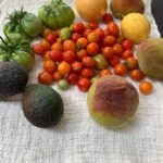 Shannen Doherty Instagram - My Garden haul for dinner tonight