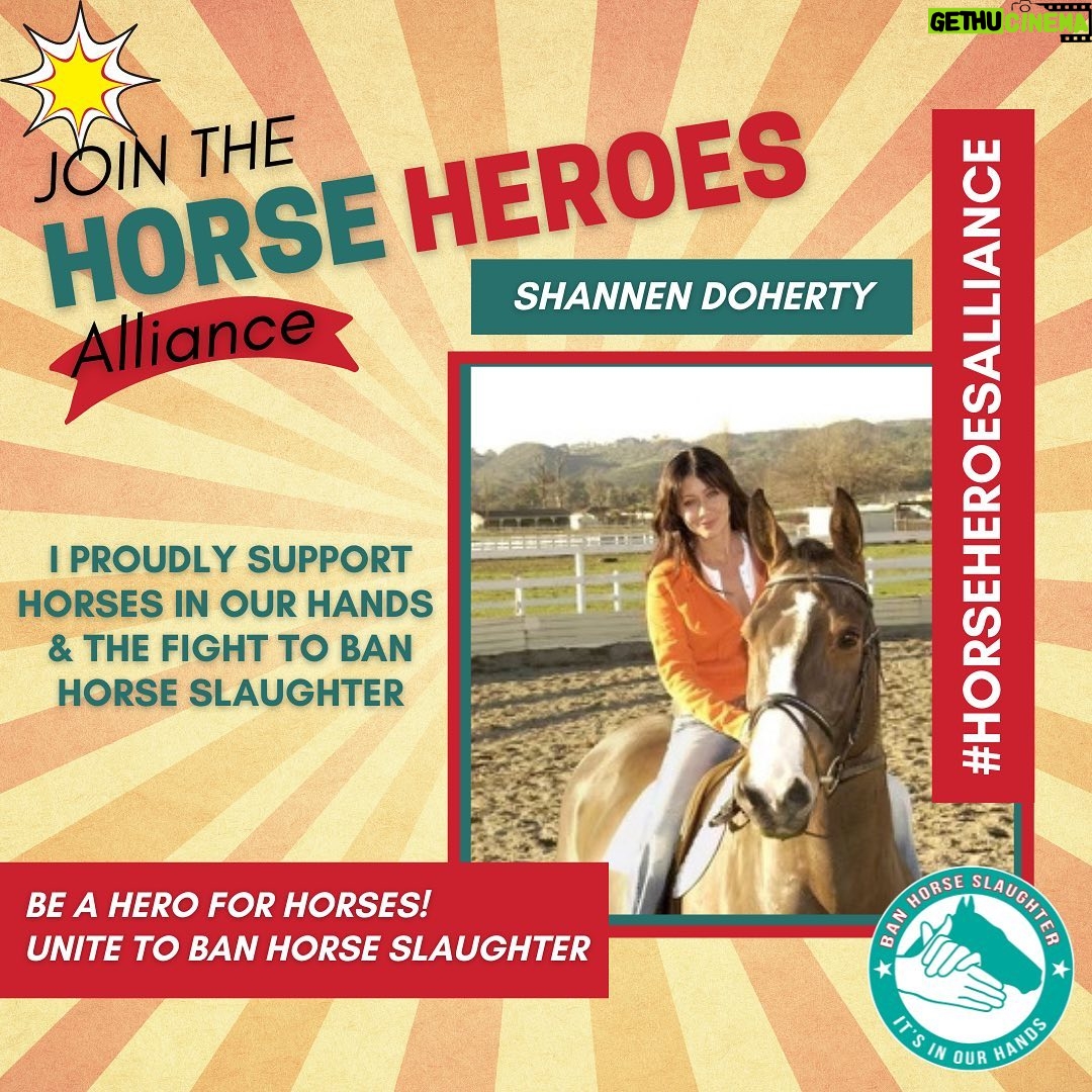 Shannen Doherty Instagram - 📣Horse Lovers! Shannen Doherty @theshando has joined our Horse Heroes Alliance in the fight to ban horse slaughter. 🎊🐴 ⚠️TAKE ACTION ⚠️ ✅Click link in bio @horsesinourhands to send a letter to your legislators to BAN Horse Slaughter NOW‼️ CALL ☎️ 202 224 3121 and ask to speak to your legislators DEMAND they pass the SAFE Act NOW‼️ 👉Finally The House is holding a special Committee hearing Tomorrow, May 26th on The SAFE Act! It's time we unite and let Washington DC know we mean business. ✉️ We have sent 210k emails to legislators asking them to support! Yesterday we sent over 1000 alone lets get to 5000 by tomorrow!! Thank you!🙏 Los Angeles, California