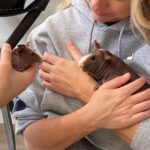 Shannen Doherty Instagram - This was the picture sent to me of this poor animal for sale at @petco Clearly malnourished, with a cut on its side. @rachaelgoddarddesigns posted it and @jaimiegellerjewelry sent to me asking if I could help. I immediately texted Marc Ching at @animalhopeandwellness. Within 45 minutes, they had gone there and rescued this adorable animal. Marc… thank you for always texting me back and always caring so much about animals. And just a reminder, @animalhopeandwellness can always use donations and support. Feels good to know that this animal will have a chance. Last photo is with his rescuer. Thank you Ellie. #ahaw