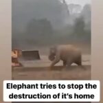 Shannen Doherty Instagram - Cause we think it’s all ours….. it’s not.