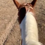 Shannen Doherty Instagram -
