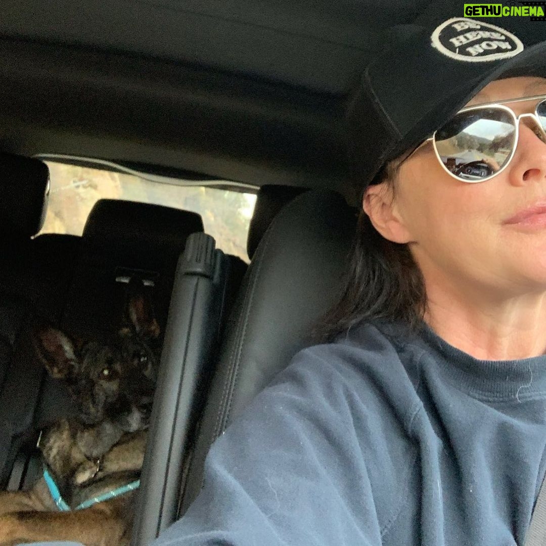 Shannen Doherty Instagram - Road trip time with @missbowiedoherty Favorite thing about this photo is how Bowie is looking at me with such curiosity about our adventure. #roadtrip #girlsbestfriend