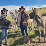 Shannen Doherty Instagram - I am so passionate about horses. Particularly about wild horses which are ingrained in the history of our country. We have books about these majestic beauties whose ancestors helped plow their lands. That helped them hunt and became an integral part of their survivability and yet we have government rounding them up to the detriment of the herd (with deaths occurring) for the sake of “humans”. When will we learn that we were gifted this land. It’s not ours alone. We share it. It’s sad to me that many of these once wild and free horses suffer the pipeline to slaughter. Please follow @returntofreedom for information and how to help.
