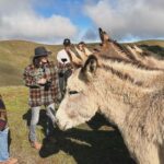 Shannen Doherty Instagram - I am so passionate about horses. Particularly about wild horses which are ingrained in the history of our country. We have books about these majestic beauties whose ancestors helped plow their lands. That helped them hunt and became an integral part of their survivability and yet we have government rounding them up to the detriment of the herd (with deaths occurring) for the sake of “humans”. When will we learn that we were gifted this land. It’s not ours alone. We share it. It’s sad to me that many of these once wild and free horses suffer the pipeline to slaughter. Please follow @returntofreedom for information and how to help.