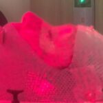 Shannen Doherty Instagram - January 12, 2023. On January 5th, my ct scan showed Mets in my brain. Yesterdays video was showing the process of getting fitted for the mask which you wear during radiation to your brain. January 12, the first round of radiation took place. My fear is obvious. I am extremely claustrophobic and there was a lot going on in my life. I am fortunate as I have great doctors like Dr Amin Mirahdi and the amazing techs at cedar sinai. But that fear…. The turmoil….. the timing of it all…. This is what cancer can look like.