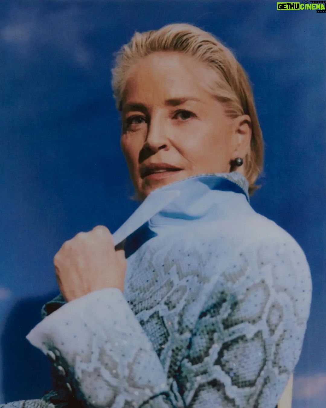 Sharon Stone Instagram - Thank you to @vulture and @nymag’s @jerrysaltz for the thoughtful conversation. Article in Stories. Photo by @chantalaanderson