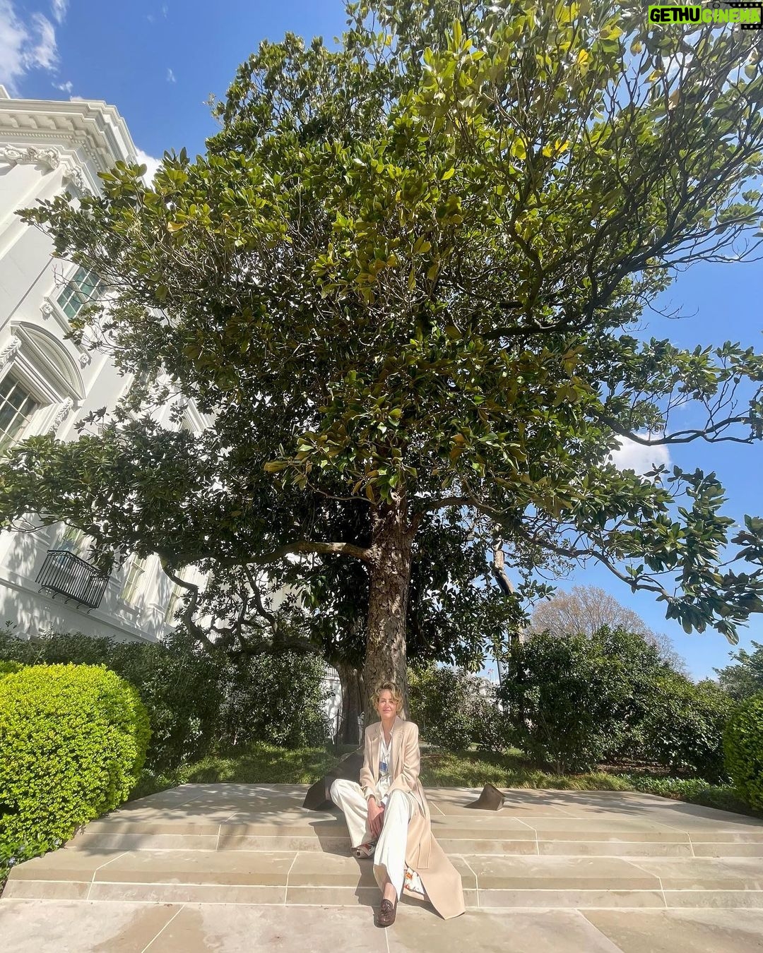 Sharon Stone Instagram - The Andrew Jackson Magnolia Tree.