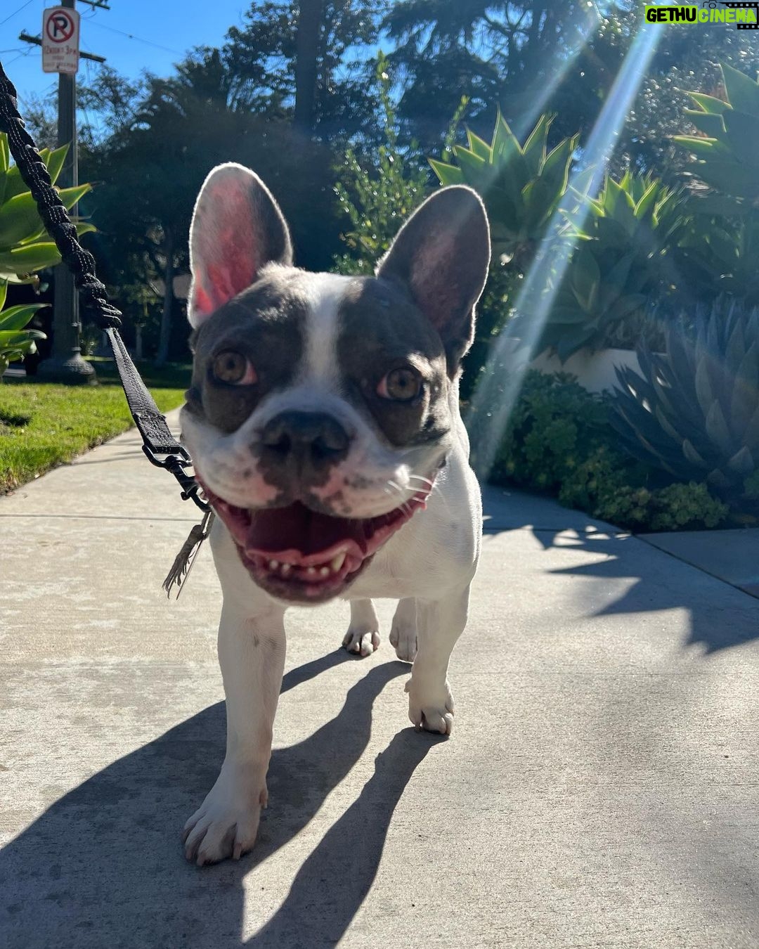 Sharon Stone Instagram - HAVE A HAPPY WEEKEND ‼️