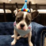 Sharon Stone Instagram -
