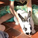 Shelley Hennig Instagram - It was a special day when I found out my niece named her 🐰 Phoebe bc as she put it, “it’s your friend’s name it’s a good name” HBD @phoebejtonkin I’d wear you as a body lotion if I could u are magical & I love u alwayz 👯‍♀️