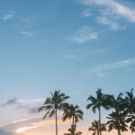 Shin Hye-sun Instagram - #포시즌스오아후 #fsoahu #FSOahuxYou (FS Oahu by You) Four Seasons Resort O‘ahu at Ko Olina