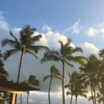 Shin Hye-sun Instagram - #포시즌스오아후 #fsoahu #FSOahuxYou (FS Oahu by You) Four Seasons Resort O‘ahu at Ko Olina