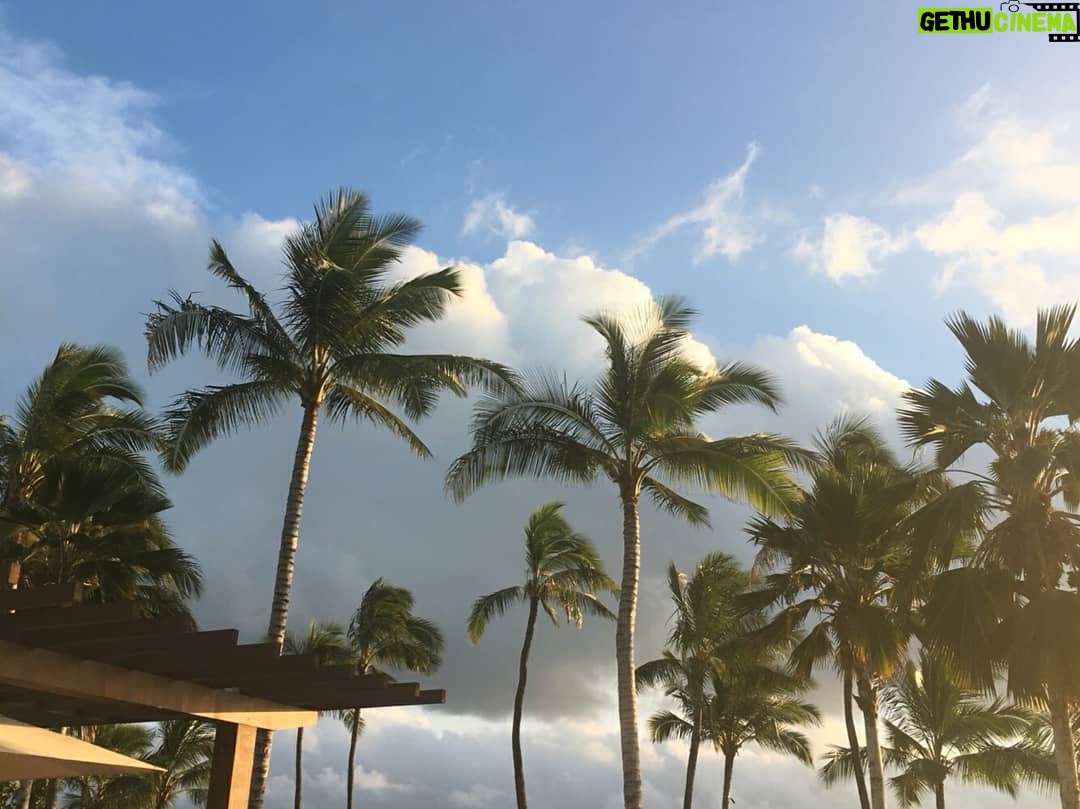 Shin Hye-sun Instagram - #포시즌스오아후 #fsoahu #FSOahuxYou (FS Oahu by You) Four Seasons Resort O‘ahu at Ko Olina