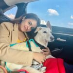 Shobhita Rana Instagram - Happy Valentine’s Day from us to you all 💌❤️‍🩹🫠 Tell me, which of us do you like the most?? #myvalentine #valentineday #happyvalentinesday Dubai, United Arab Emirates