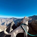 Shobhita Rana Instagram - Lost in the beauty of Ras Al-Khaimah 🐑🤍 @visitrasalkhaimah @visitjebeljais #rasalkhaimah #uae #mountains #jebeljais #hiking Ras Al Khaimah, UAE