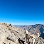 Shobhita Rana Instagram - Lost in the beauty of Ras Al-Khaimah 🐑🤍 @visitrasalkhaimah @visitjebeljais #rasalkhaimah #uae #mountains #jebeljais #hiking Ras Al Khaimah, UAE