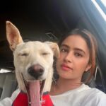 Shobhita Rana Instagram - Happy dog day to my girl @bunnytheindie thank you for coming into my life and making it so magical ✨💫💋❤️‍🩹 #happyinternationaldogday #adoptdontshop Dubai, United Arab Emirates
