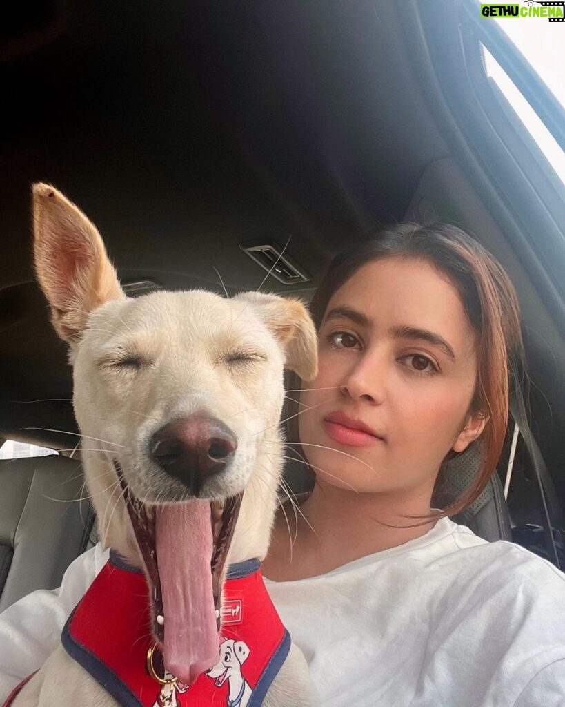 Shobhita Rana Instagram - Happy dog day to my girl @bunnytheindie thank you for coming into my life and making it so magical ✨💫💋❤️‍🩹 #happyinternationaldogday #adoptdontshop Dubai, United Arab Emirates